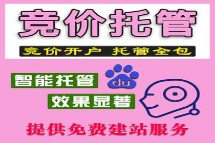 行业领先企业如何通过SEM推广代运营提升业绩